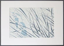 Load image into Gallery viewer, Denham Grasses in Stone &amp; Hague Blue by Sarah Knight Display

